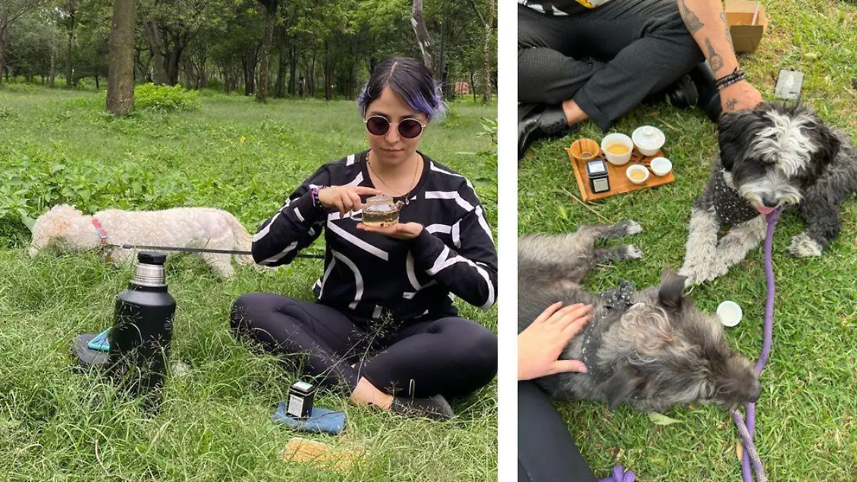 2 Ritual para conectar con la naturaleza