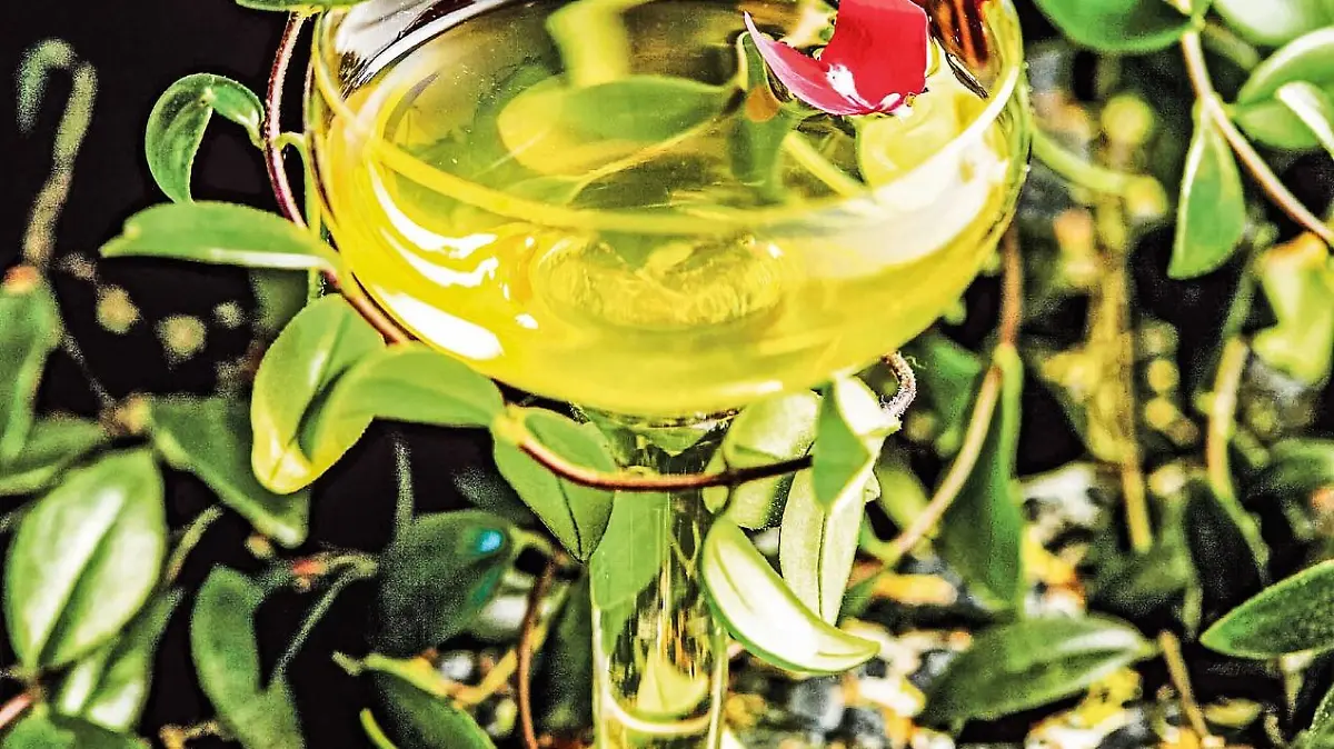 WhatsApp Image 2024 03 22 at 12.34.09 PM 2