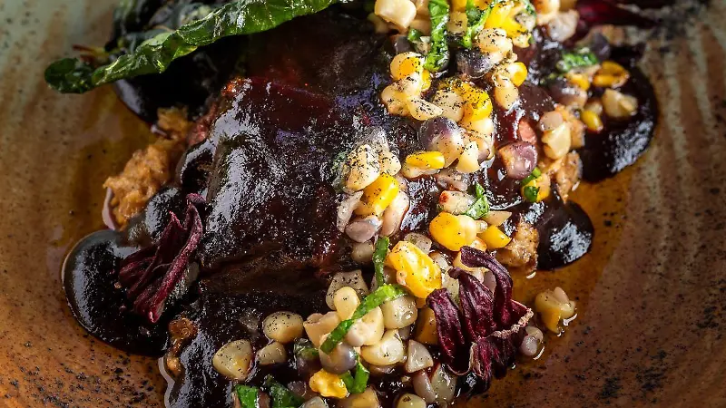 Magret de pato con mole de jamaica 1