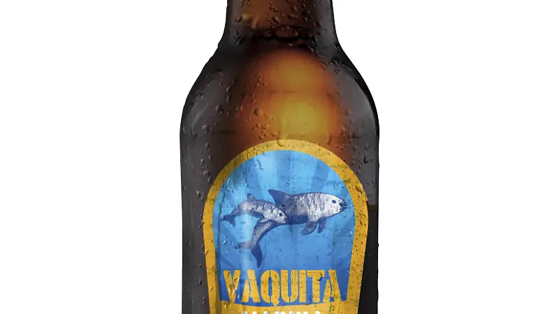 Vaquita Marina