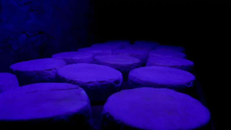 385880782 156896367489335 8374305331488081994 n