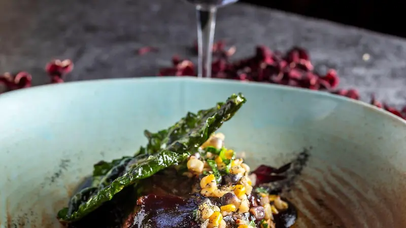 Magret de pato con mole de jamaica 2