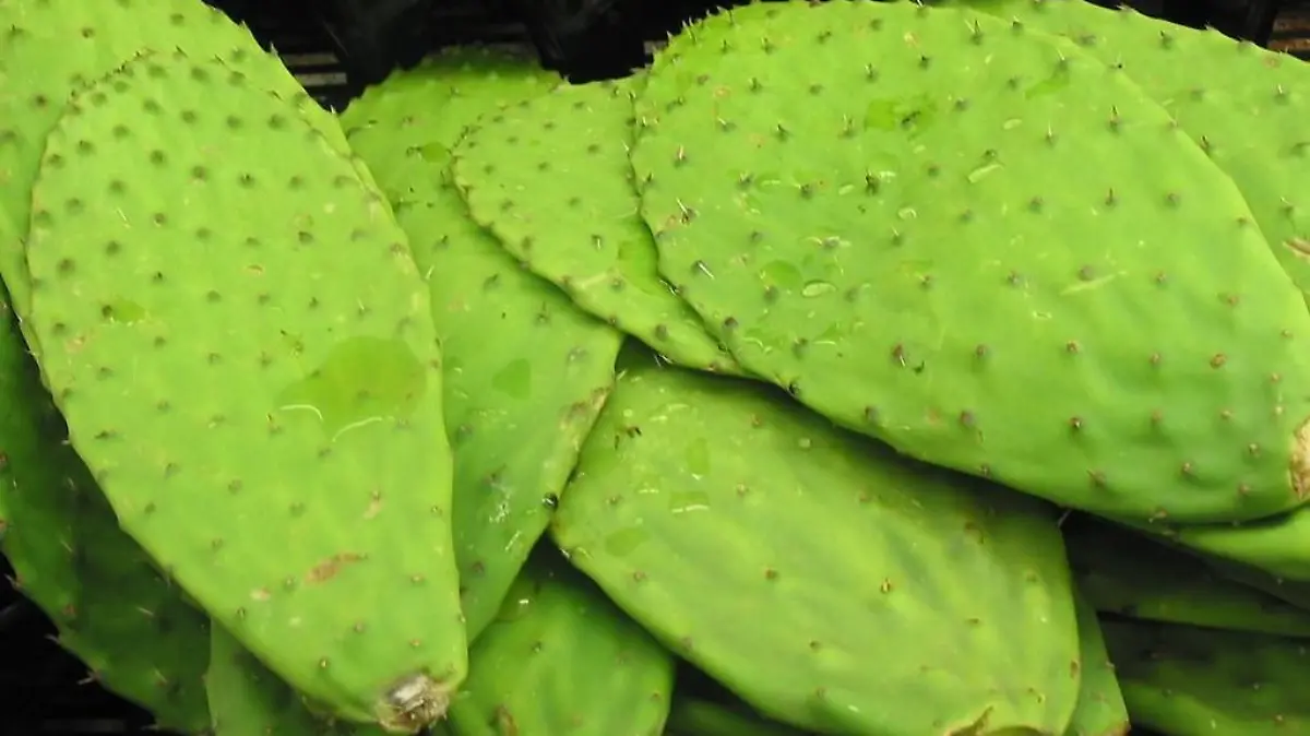 El Nopal un ingrediente saludable para sus platillos