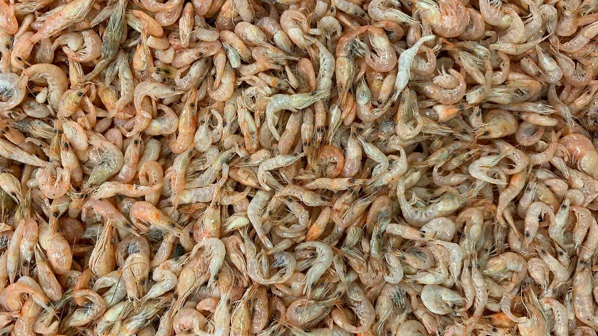 john cameron egfKPm8Sut4 unsplash 1 123