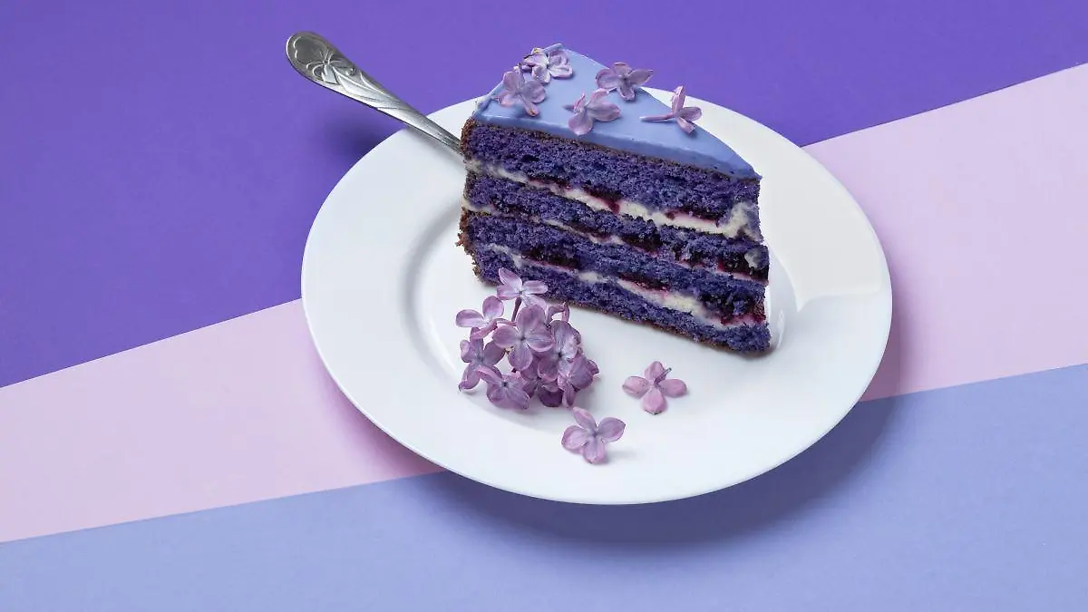 high angle cake with flowers plate 123