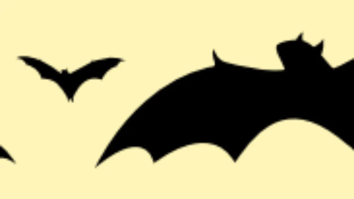 Captura de pantalla 2024 03 22 a las 14.52.04 1