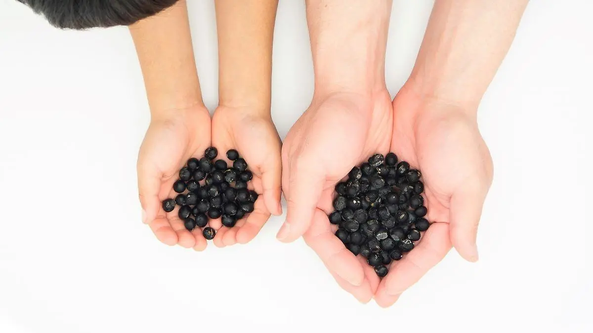 kaori kubota dh3VQZGCF8c unsplash