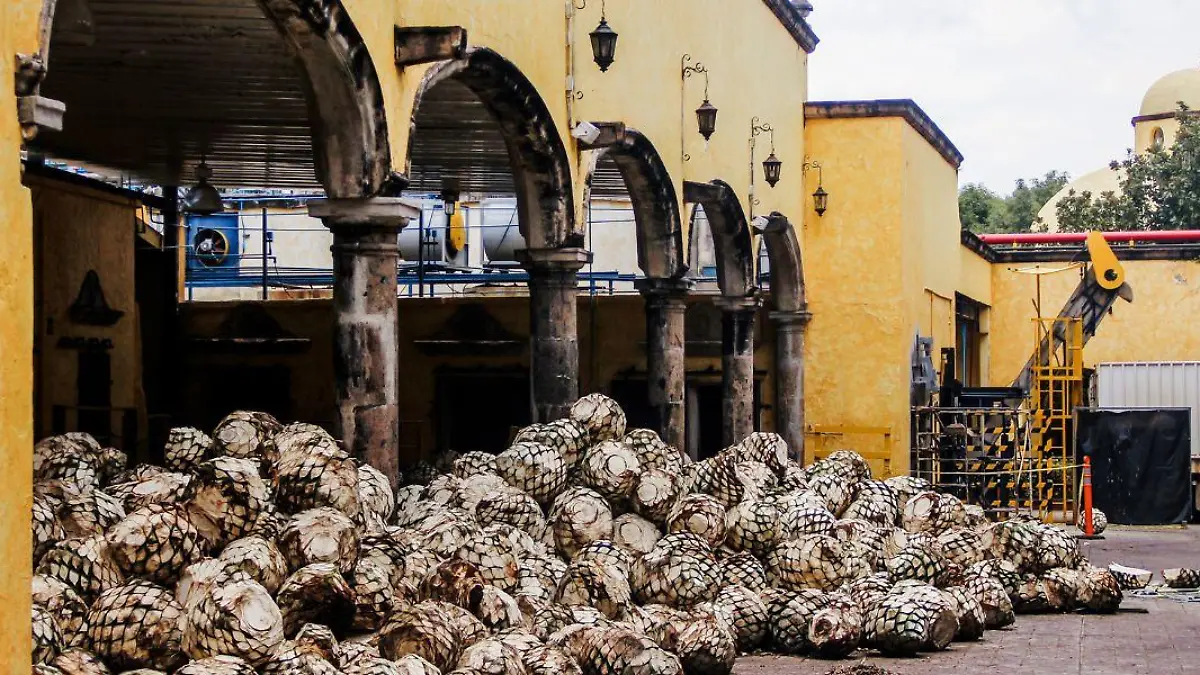 3 Aderezo Tequila en México