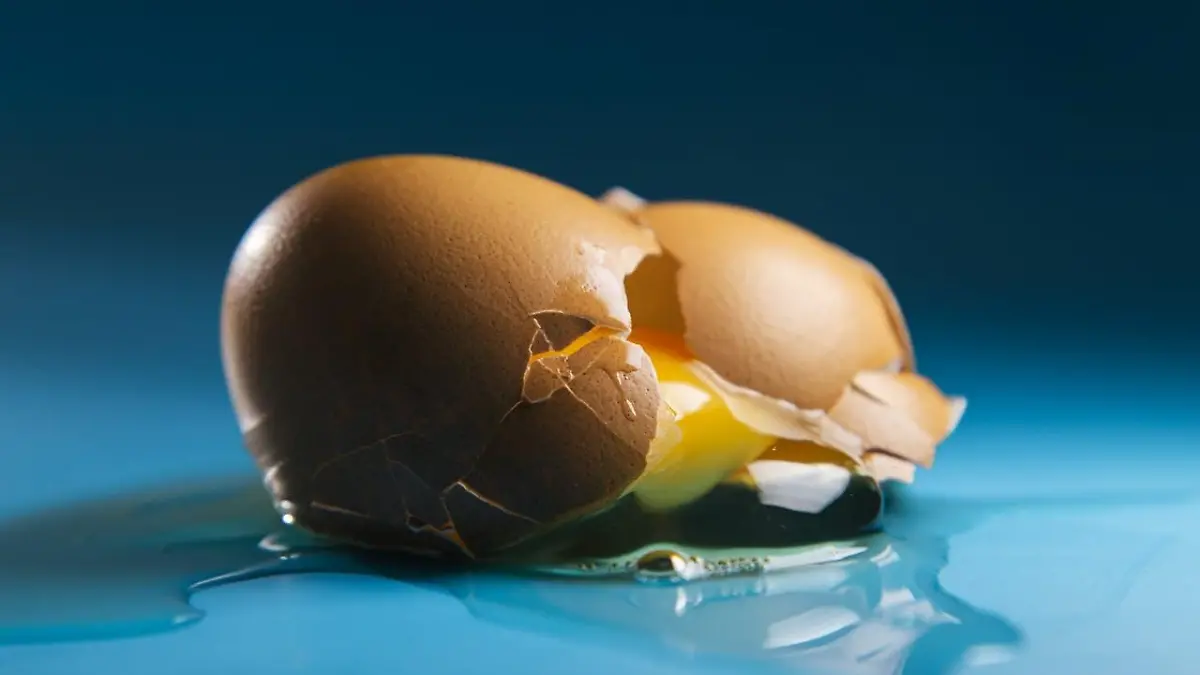 pexels ron lach 8859451