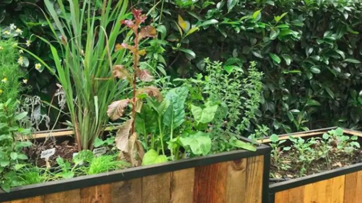 Captura de pantalla 2021 04 22 a la(s) 12.42.34