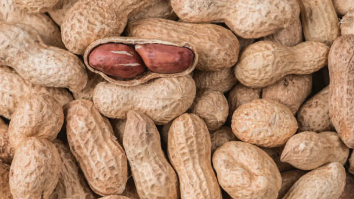 Día Mundial del Cacahuate