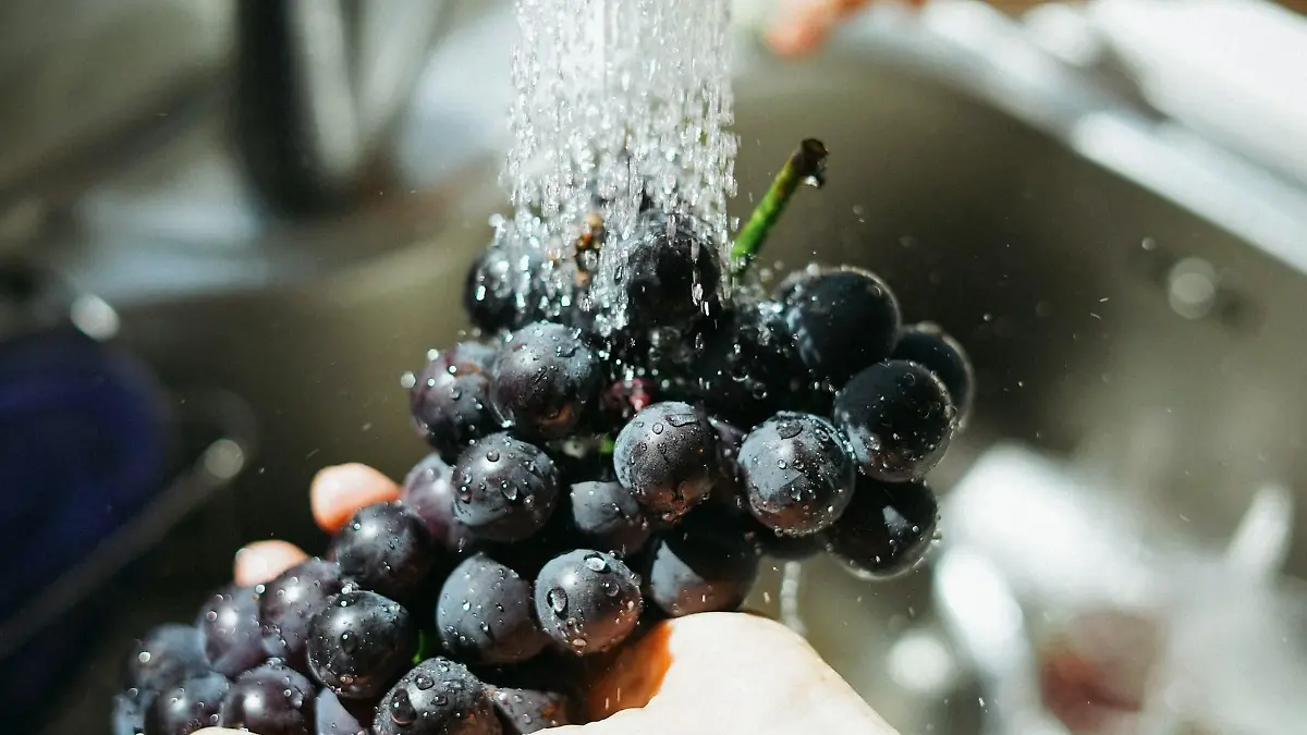 manki kim cI5KB6XF EI unsplash