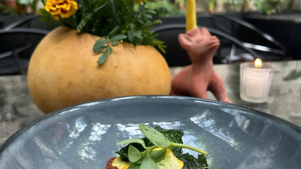 WhatsApp Image 2024 10 14 at 4.25.56 PM 1