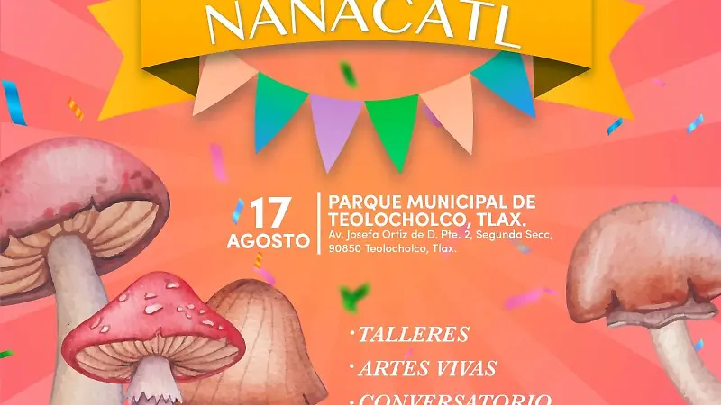 452620693 903107121858370 1410400900102872262 n