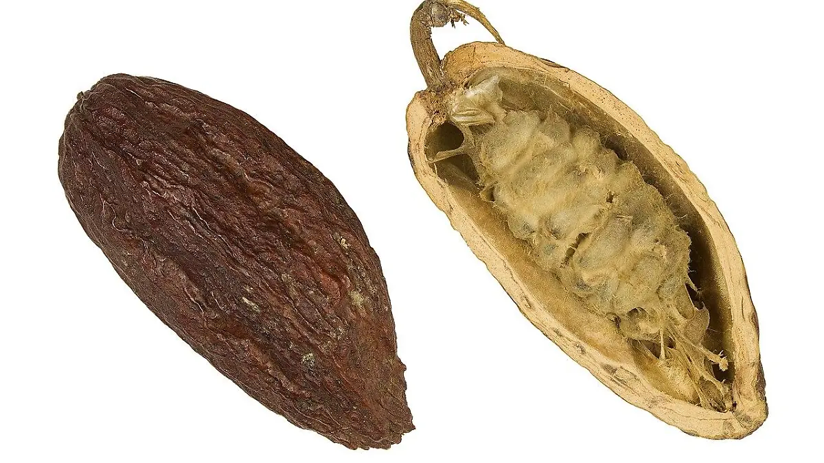 Beneficios del cacao
