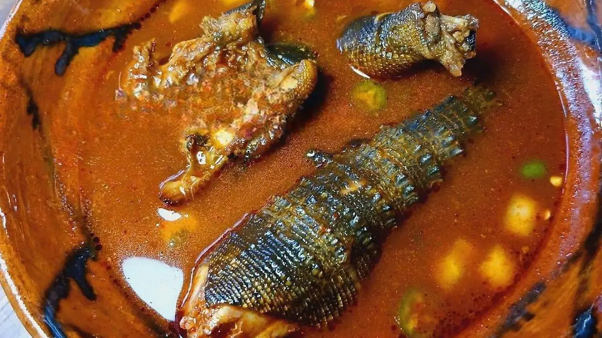 449600540 963139042279975 544347433187056603 n