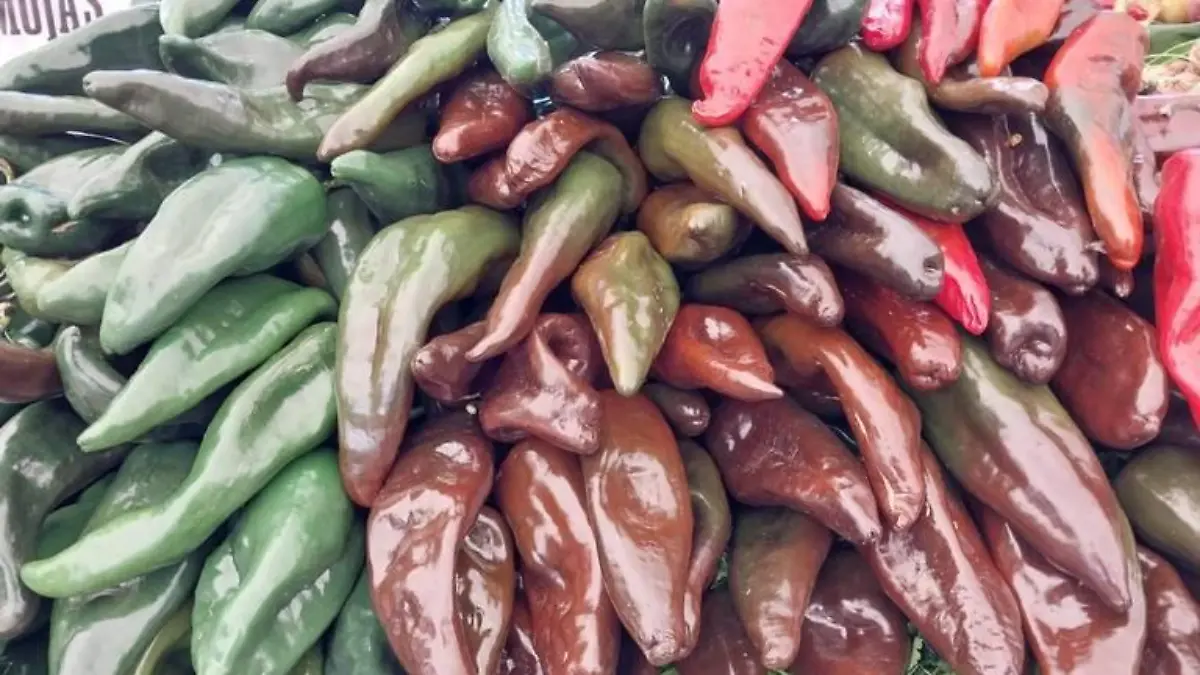 200 toneladas de chile miahuateco disponibles para temporada de chiles en nogada y mole