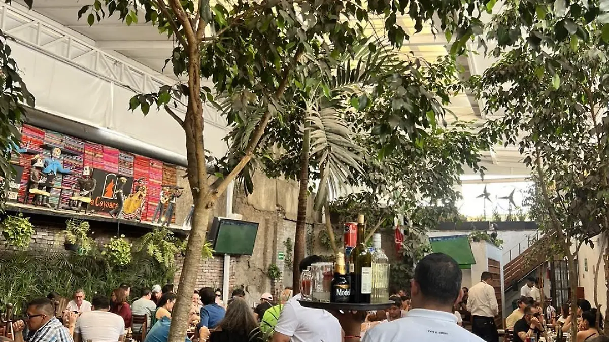 434926311 711759534498348 5181612158787127282 n