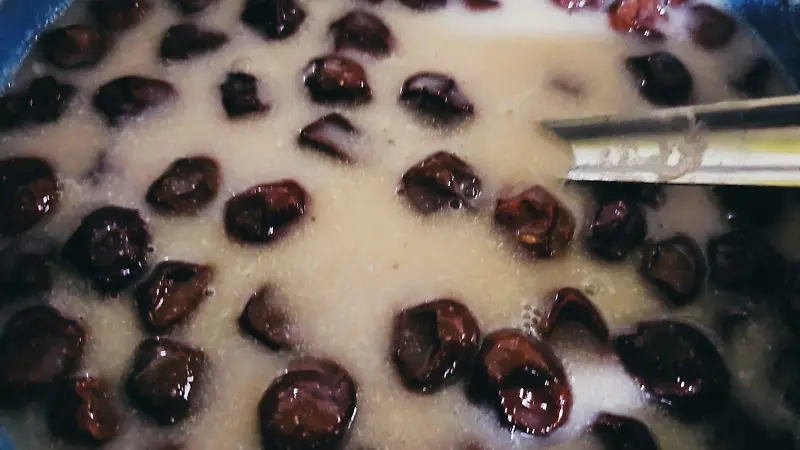 Atole de ciruela favorito de Zapata (3)