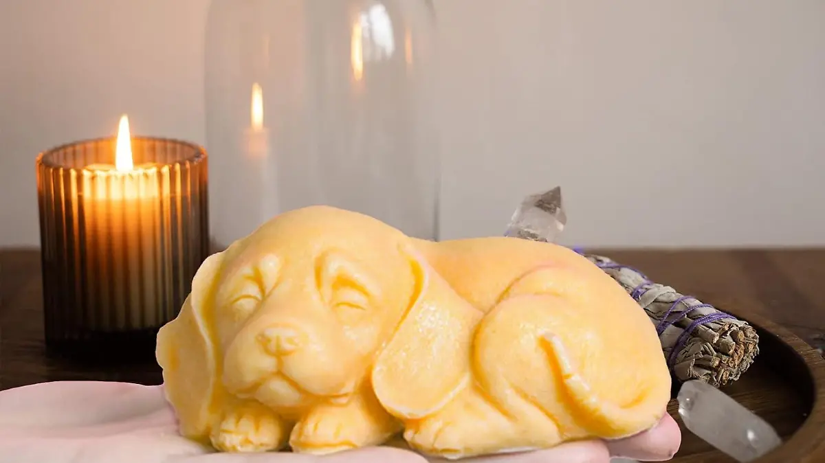 61wbZyabg0L. AC SL1500