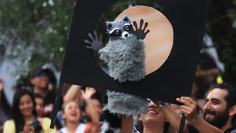 Carrera de Melones Xalapa Xallitic Barrio Mágico ricardo05