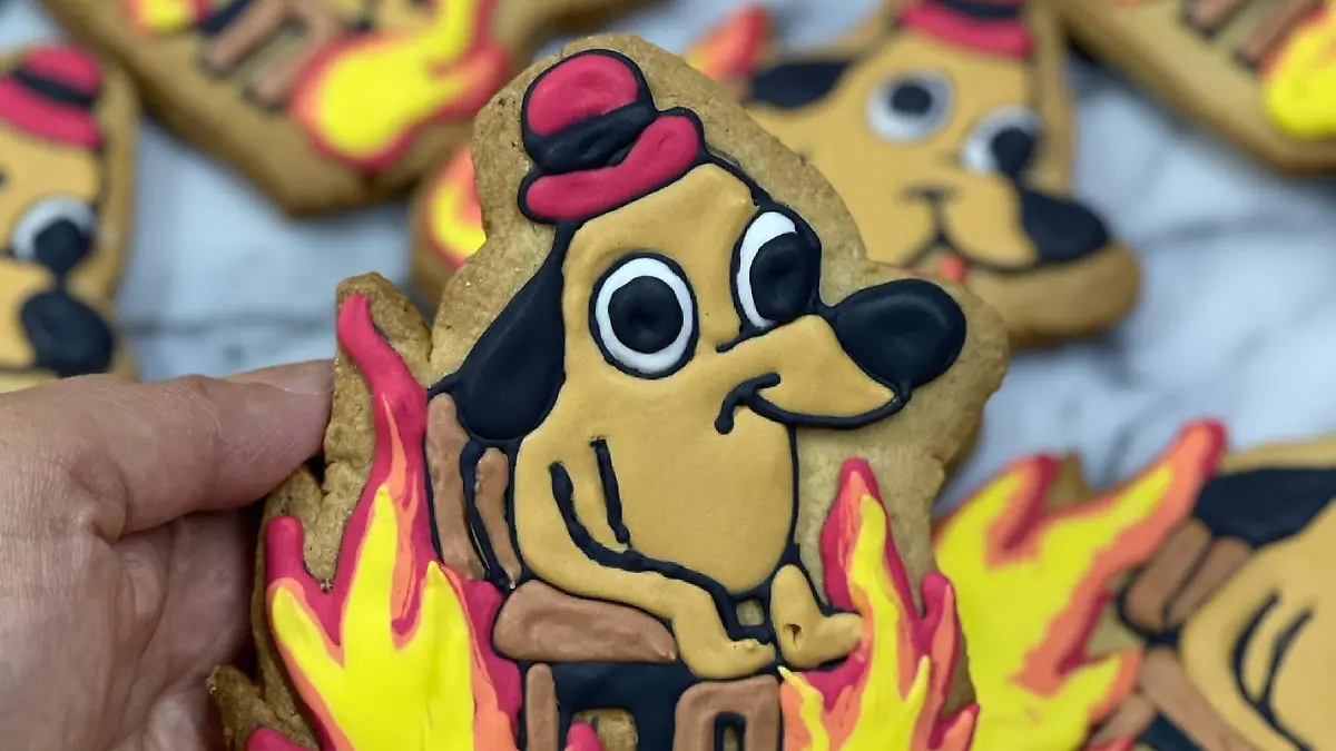 178576171 4485402758154335 4809993920159455253 n