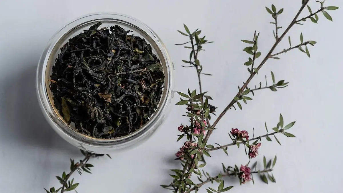 Foto: Olin Mendoza @olinshen