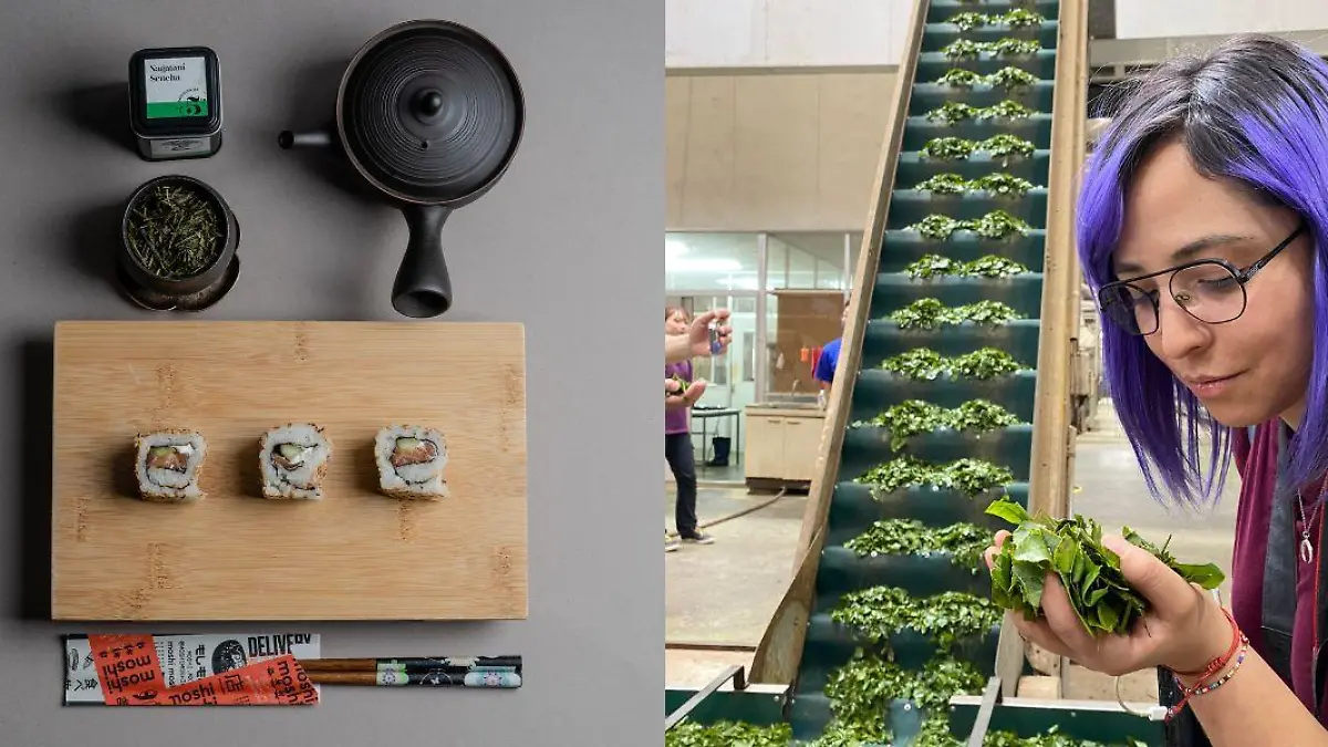 2 Aderezo Sencha el té japonés