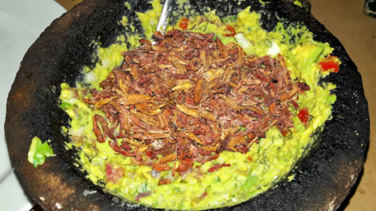 Guacamole with grasshoppers in a molcajete ancient Mexican cuisine
