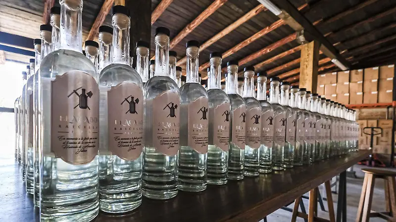 Tequila Jalisco 1