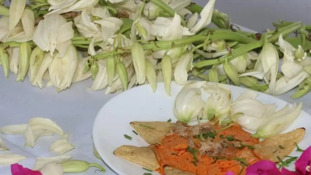 ¿En qué municipios puedes encontrar la flor de izote Te contamos