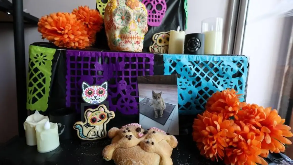 michimuertos 2