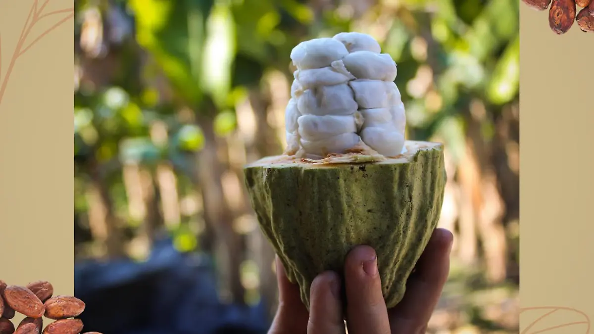 139386283 3588611414548800 1732059314834710103 n