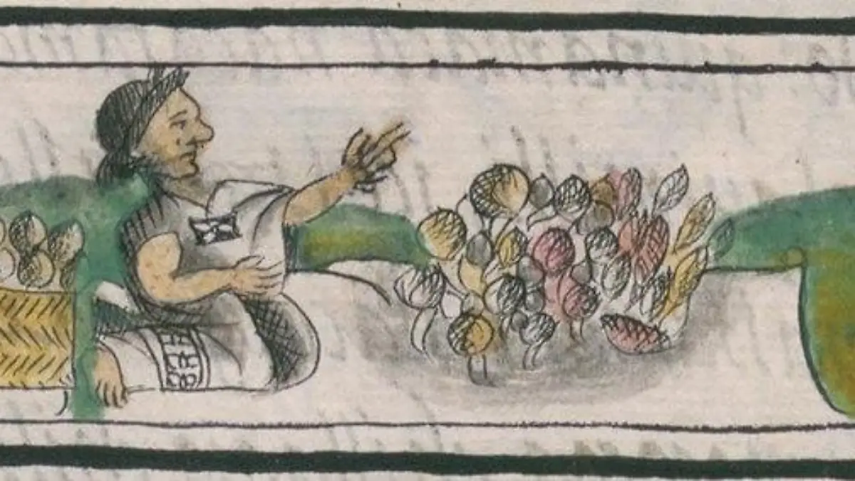 Florentine codex vol 10 image 104 tamal seller