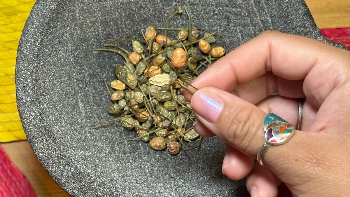 Los chiles más antiguos en México 3