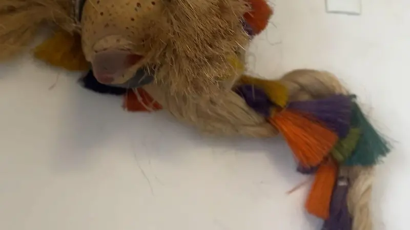 Máscaras Tierra Adentro 1