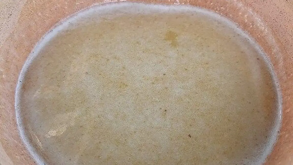 Pulque en jícara 02