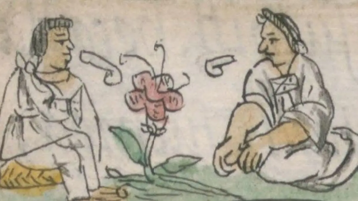 Florentine Codex book 10 illustration 61