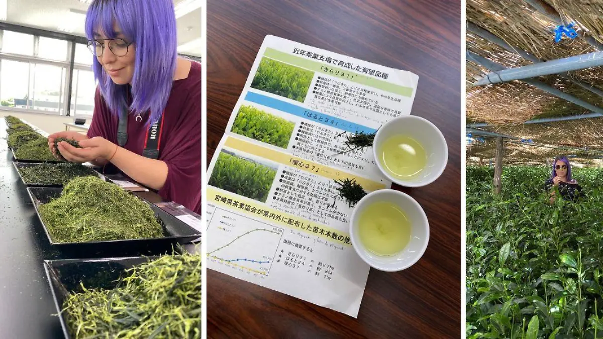 2 Aderezo la hora del te matcha