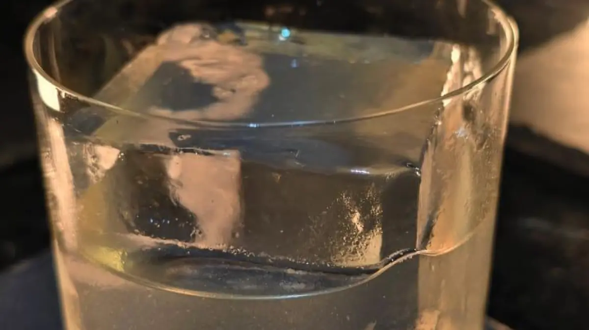 WhatsApp Image 2025 02 26 at 6.49.36 PM