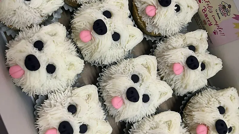 PaChu pasteles para perritos