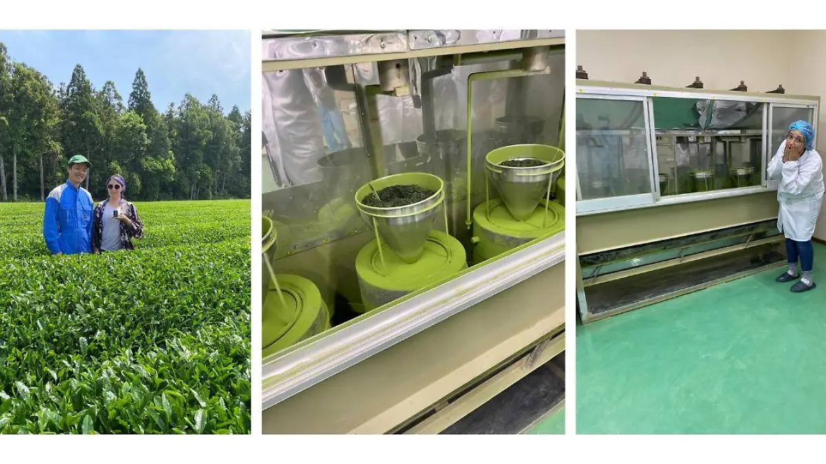 Aderezo la hora del te matcha en peligro