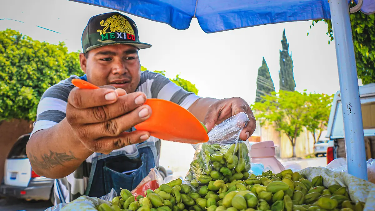 210415 GARBANZA GTM 1