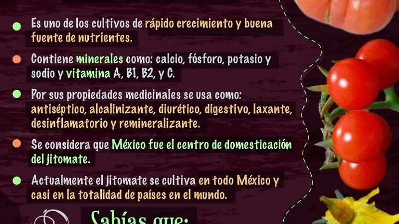 275069448 10161251031824918 3071936558862164919 n