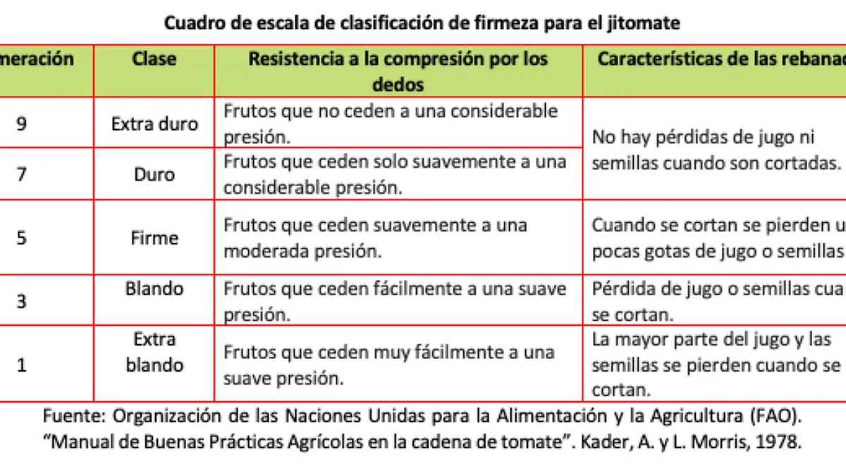 Captura de Pantalla 2020 11 28 a la s 18.45.47