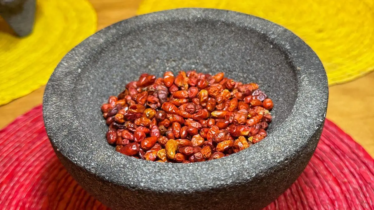 Los chiles más antiguos en México 5