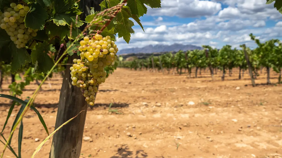 jordi vich navarro 2h5JUTvJrEg unsplash 1