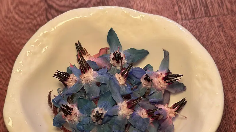 OLIVEA FARM TO TABLE (1)