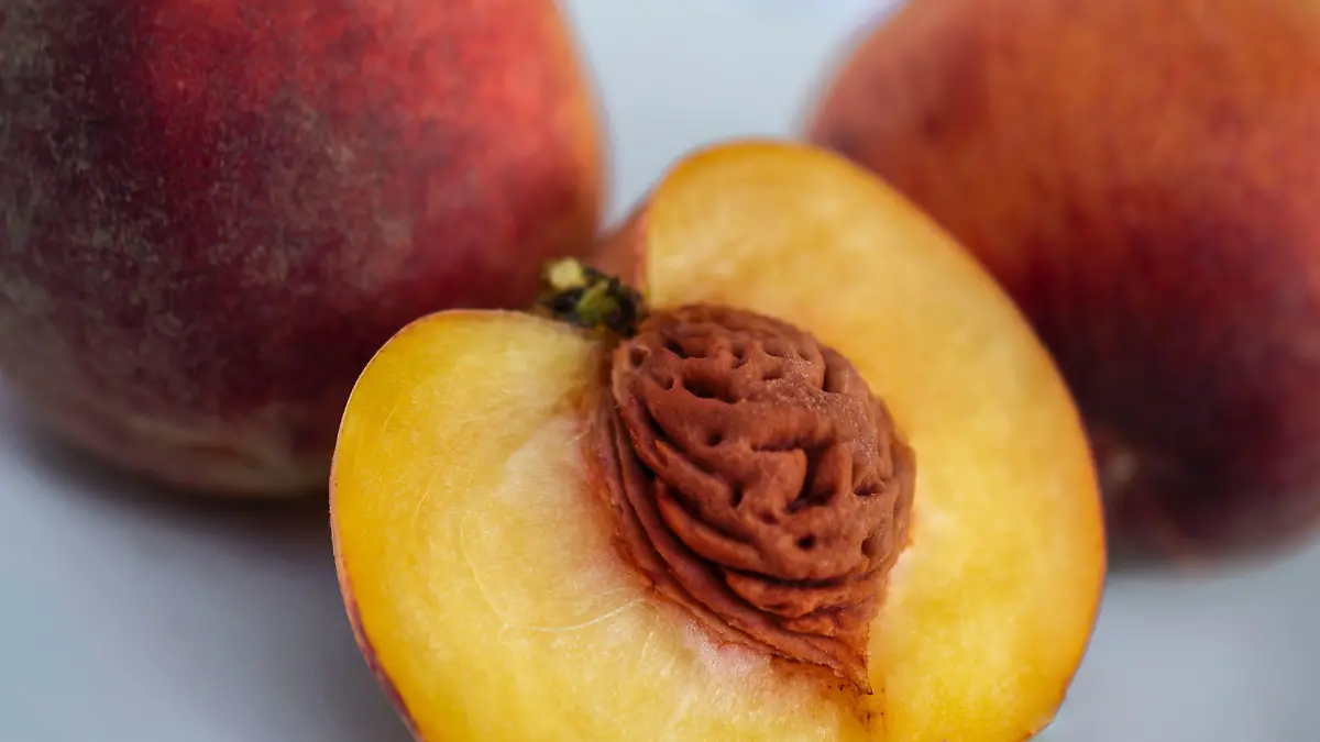 sara cervera oEaGiyEjQyY unsplash 1