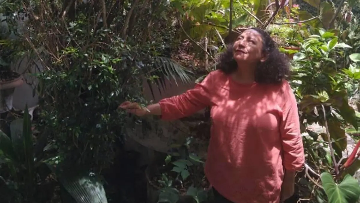 Leticia Margarita Cano Asseleih